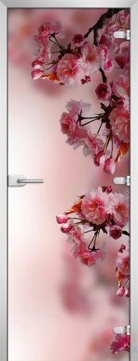 Дверь стеклянная Flowers-16 матовое бесцветное